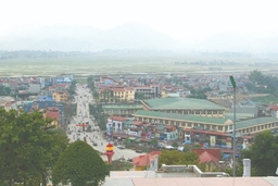 Về miền hoa ban