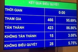 Quốc hội biểu quyết tán thành thông qua Luật An ninh mạng