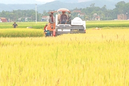 Vụ chiêm xuân thắng lợi toàn diện