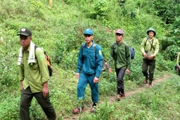 Tăng cường phối hợp bảo vệ rừng, phòng cháy, chữa cháy rừng khu vực biên giới