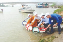 Chú trọng bảo vệ, tái tạo nguồn lợi thủy sản