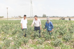 Bài cuối:  Chăm lo xây dựng đội ngũ