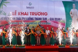 Khai trương Công viên sinh thái Tre luồng Thanh Tam