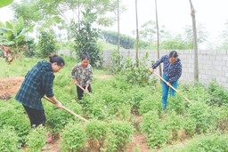 Thực hiện quy chế dân chủ cơ sở ở huyện Như Xuân