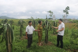 Hiệu quả công tác điều động, luân chuyển cán bộ ở huyện Đông Sơn