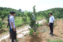 Đảng bộ xã Thanh Xuân lãnh đạo nhân dân phát triển kinh tế, xóa đói giảm nghèo