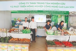 Nỗ lực phát triển chuỗi cung ứng thực phẩm an toàn