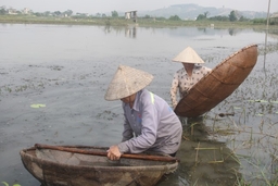 Để mắm tép Hà Yên có cơ hội vươn xa