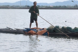 Huyện Tĩnh Gia đa dạng hóa đối tượng con nuôi trong nuôi trồng thủy sản