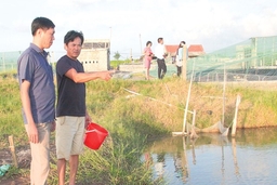 Nhiều khó khăn trong đầu tư hạ tầng khu nuôi trồng thủy sản