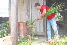 Chủ động chống đói, rét cho đàn vật nuôi