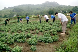 Đoàn viên, thanh niên giúp nhau phát triển kinh tế, xóa đói, giảm nghèo