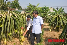 Đảng bộ xã Ngọc Phụng chú trọng nâng cao chất lượng sinh hoạt chi bộ