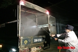 Xuất hiện thêm nhiều điểm dịch tả lợn Châu Phi