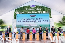 “Resort” bò sữa Vinamilk Tây Ninh – Ngôi nhà lý tưởng của những “cô” bò hạnh phúc