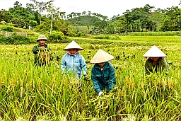 Bản tin Thanh Hóa Online ngày 17-5-2019