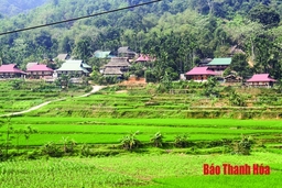 Cao Sơn, ngày trở lại...