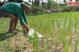 Bảo đảm nguồn nước phục vụ công tác chống hạn