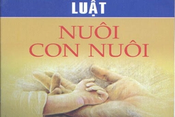 Tăng cường triển khai thực hiện có hiệu quả Nghị định số 24/2019/NĐ-CP