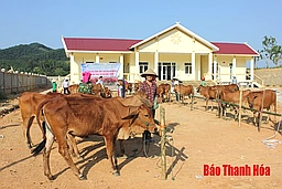 Mang niềm vui đến cho hội viên, phụ nữ xã Xuân Thái