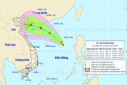 Áp thấp nhiệt đới có khả năng mạnh lên thành bão,Thanh Hóa có mưa trên diện rộng