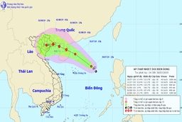  Công điện số 08/CĐ-TW: Tập trung ứng phó với cơn bão số 3 năm 2019