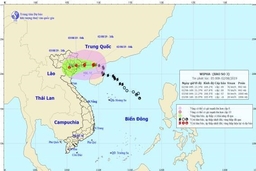 Các địa phương tổ chức theo dõi chặt chẽ diễn biến của bão số 3