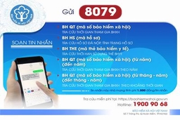 Từ 1-8: Chỉ sử dụng đầu số 8079 trong tra cứu BHXH, BHYT