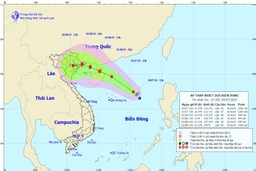 Chủ động ứng phó với áp thấp nhiệt đới có thể mạnh lên thành bão