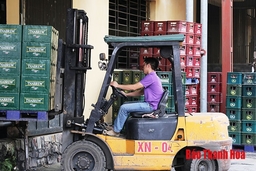 Công ty CP Bia Hà Nội – Thanh Hóa tiêu thụ hơn 40 triệu lít bia các loại