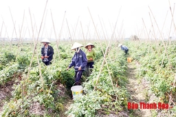 Huyện Yên Định: Nâng cao hiệu quả trong công tác hòa giải ở cơ sở