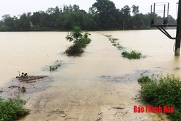 Thanh Hoá: Mưa lũ đã làm 1.189,3 ha nuôi trồng thủy sản bị ảnh hưởng