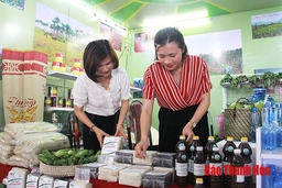 Đẩy mạnh thu hút doanh nghiệp tham gia các chương trình kết nối cung cầu