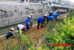 Xã Hoằng Đạo: Học Bác từ những việc làm cụ thể