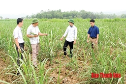 Huyện Thạch Thành nâng cao chất lượng đội ngũ cán bộ cơ sở, cán bộ người dân tộc thiểu số