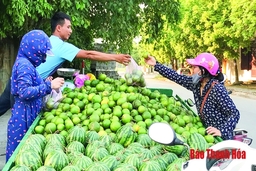 Kiểm soát thị trường cung ứng nông sản, thực phẩm