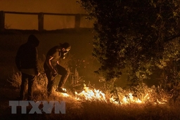 Mỹ: 100.000 người phải sơ tán vì cháy rừng lan rộng ở bang California