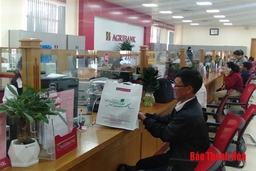 Agribank Nam Thanh Hóa nhiều hoạt động thiết thực thực hiện thông điệp “Agribank - Vì tương lai xanh”