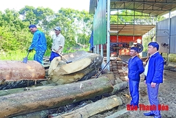 Đảng bộ xã Xuân Phú phát huy vai trò lãnh đạo trong phát triển kinh tế và giảm nghèo