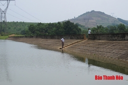 Triển khai các giải pháp chủ động đối phó với nguy cơ khô hạn cây trồng ở khu vực miền núi và trung du