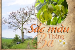 E-Magazine: Sắc màu tháng Ba