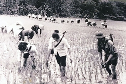 “Thi đua là yêu nước, yêu nước thì phải thi đua”