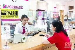 Agribank Bắc Thanh Hóa đầu tư tín dụng phục vụ phát triển nông nghiệp, nông thôn