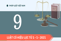 9 Luật có hiệu lực từ 1 - 1 - 2021