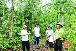 Dự án Rừng và Đồng bằng (VFD) tại tỉnh Thanh Hóa - nỗ lực giảm phát thải và thích ứng với biến đổi khí hậu