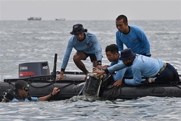 Rơi máy bay ở Indonesia: Kéo dài hoạt động tìm kiếm thêm 3 ngày