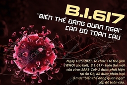 [Infographic] - B.1.617 là “biến thể đáng quan ngại” cấp độ toàn cầu