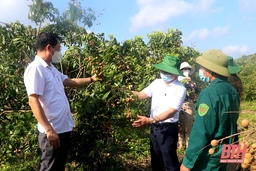 Hai xã cuối cùng của huyện Triệu Sơn hoàn thành các tiêu chí nông thôn mới