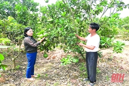 Đảng bộ huyện Đông Sơn chú trọng công tác rà soát, sàng lọc đảng viên