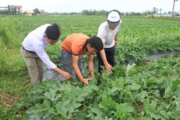 Huyện Nga Sơn rà soát, sàng lọc đảng viên để xây dựng đảng bộ trong sạch, vững mạnh